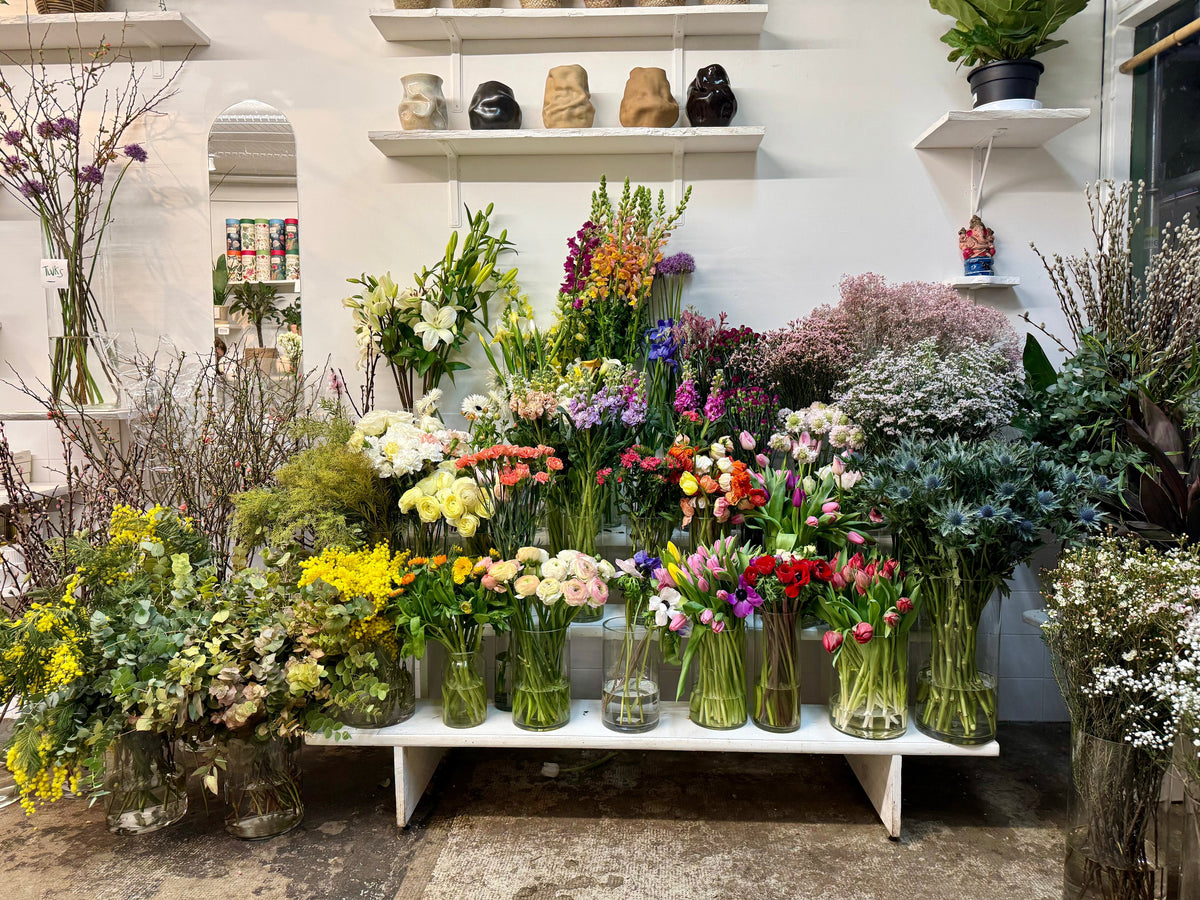 Les fleurs du Jour