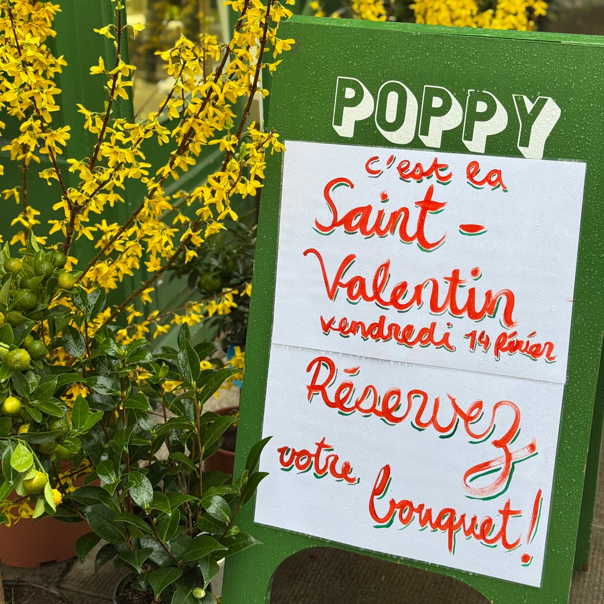 Bouquets Saint-Valentin