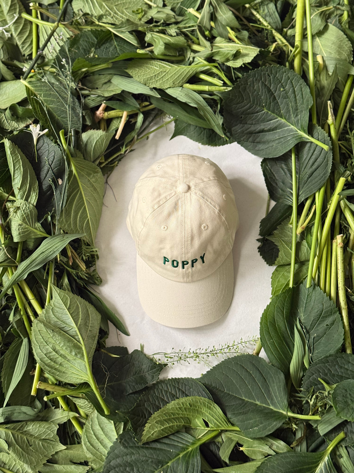 POPPY cap white