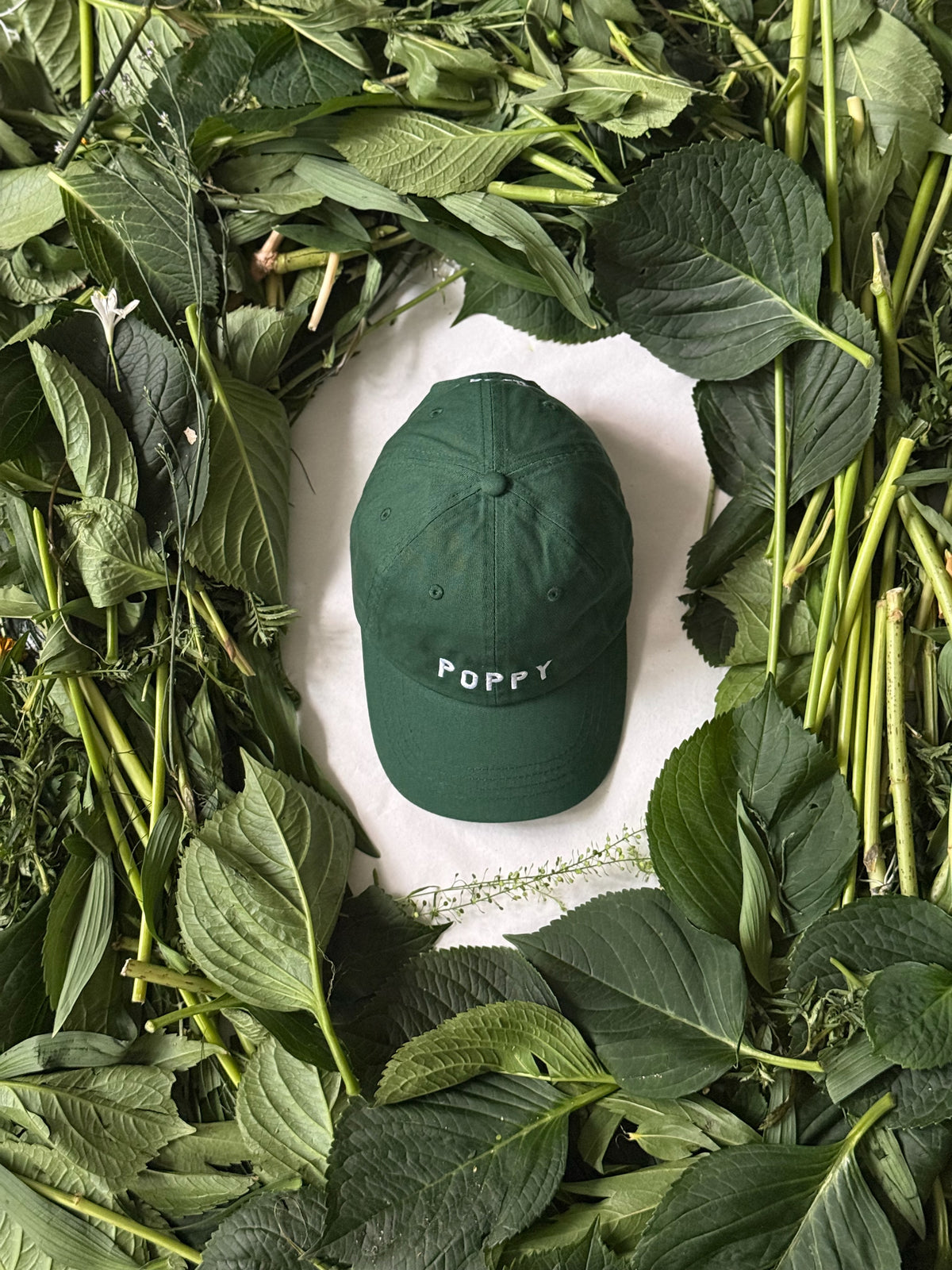 POPPY cap green