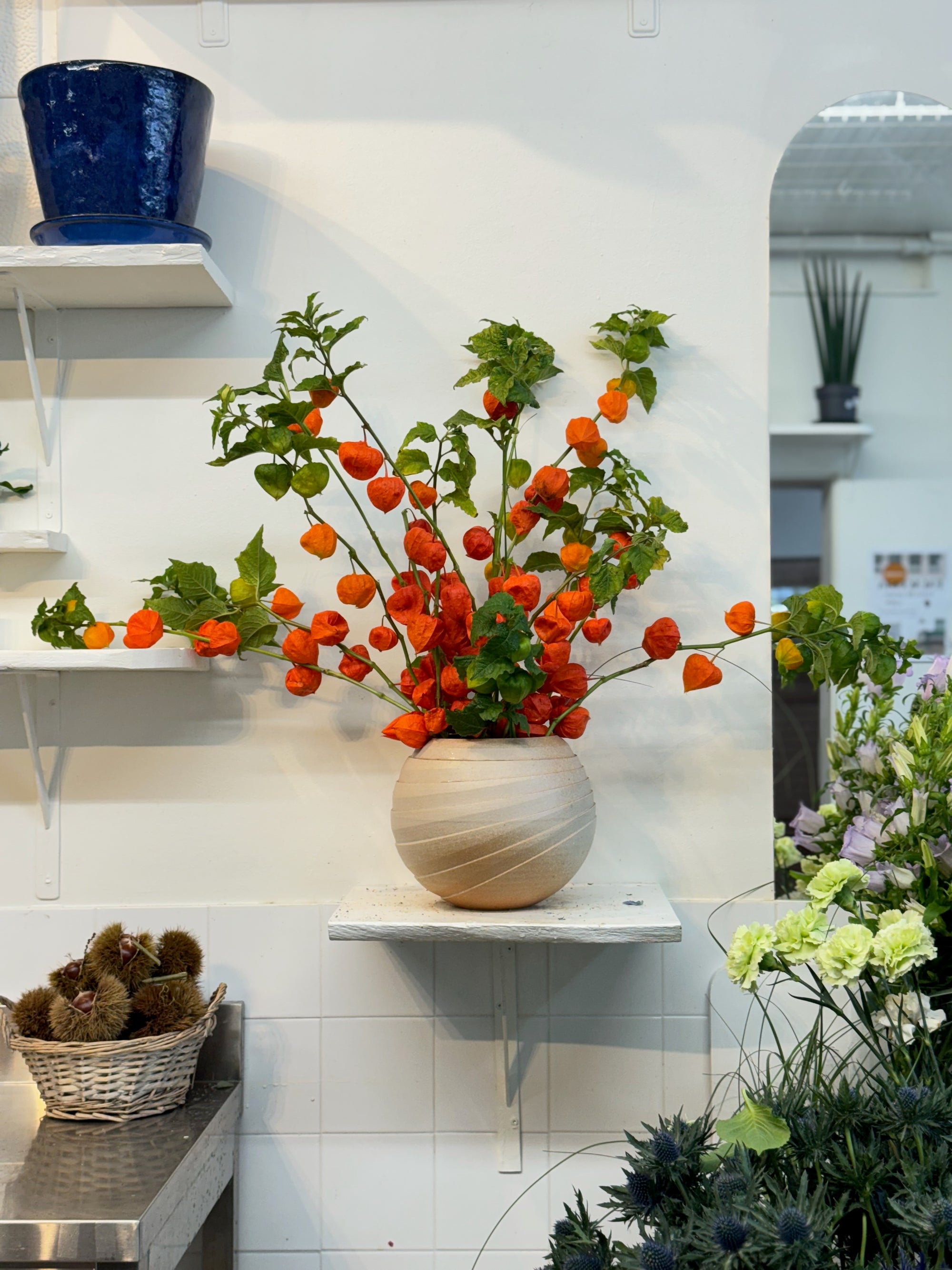 Abonnement Floral POPPY