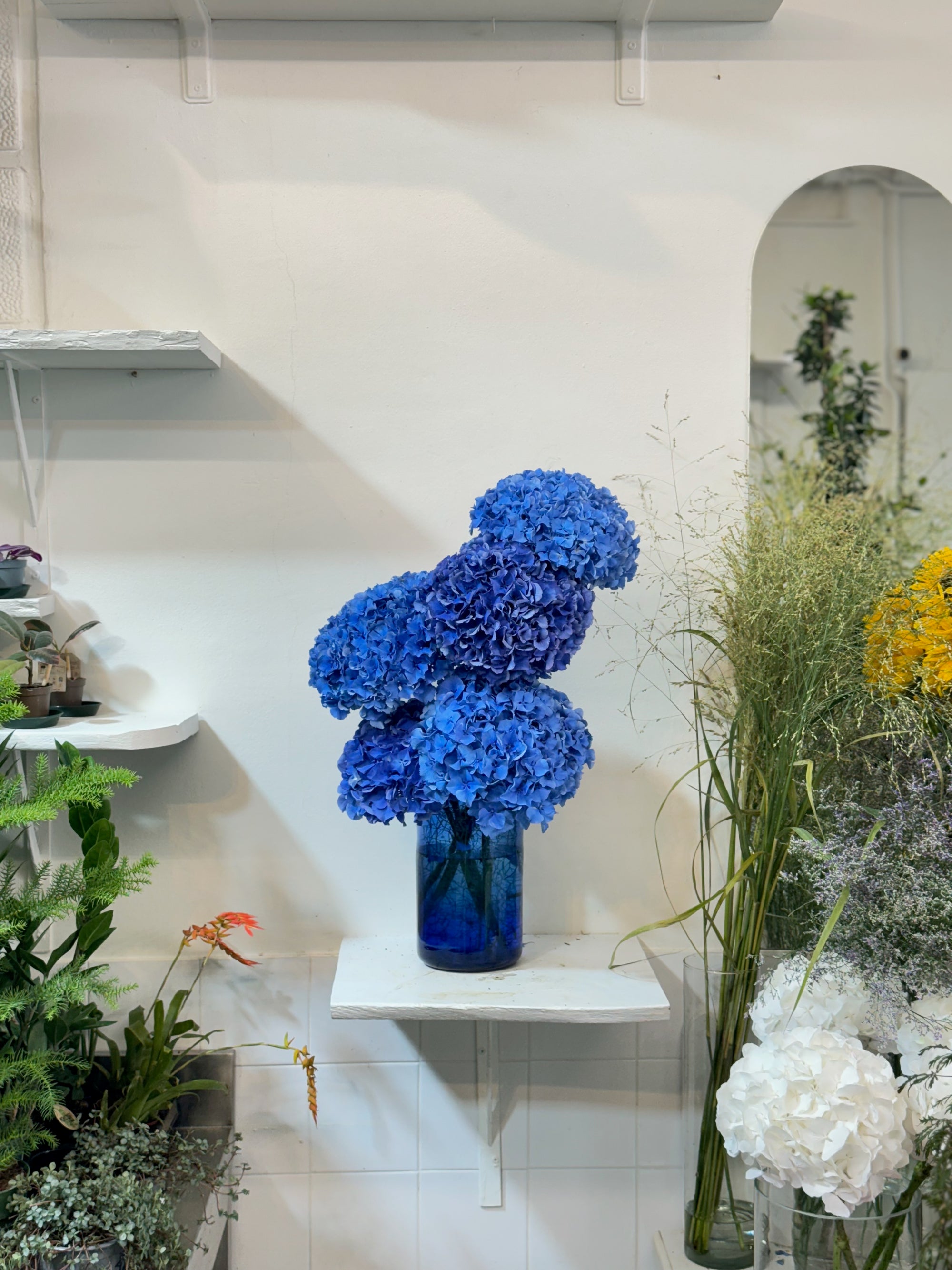 Abonnement Floral POPPY