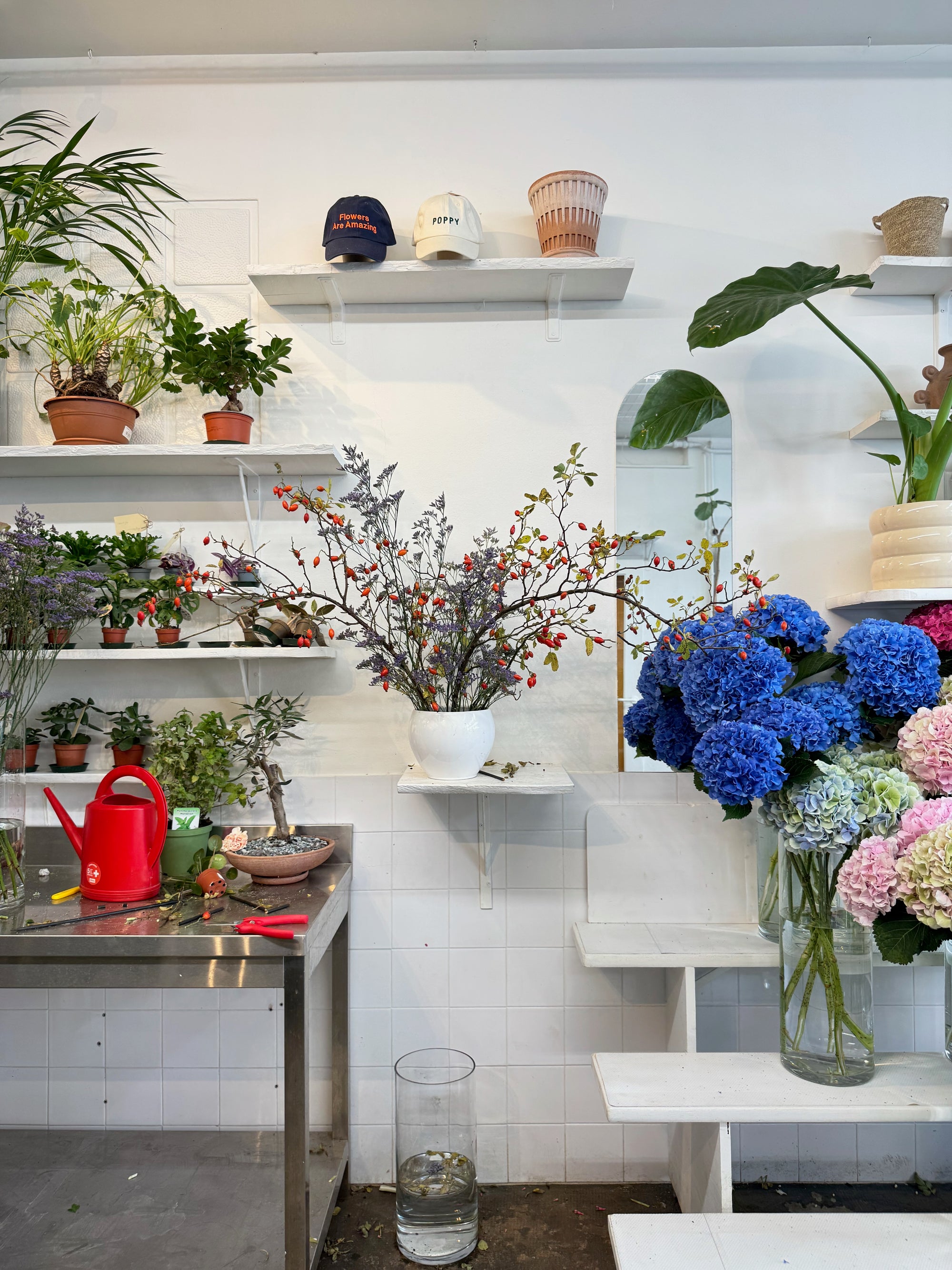 Abonnement Floral POPPY